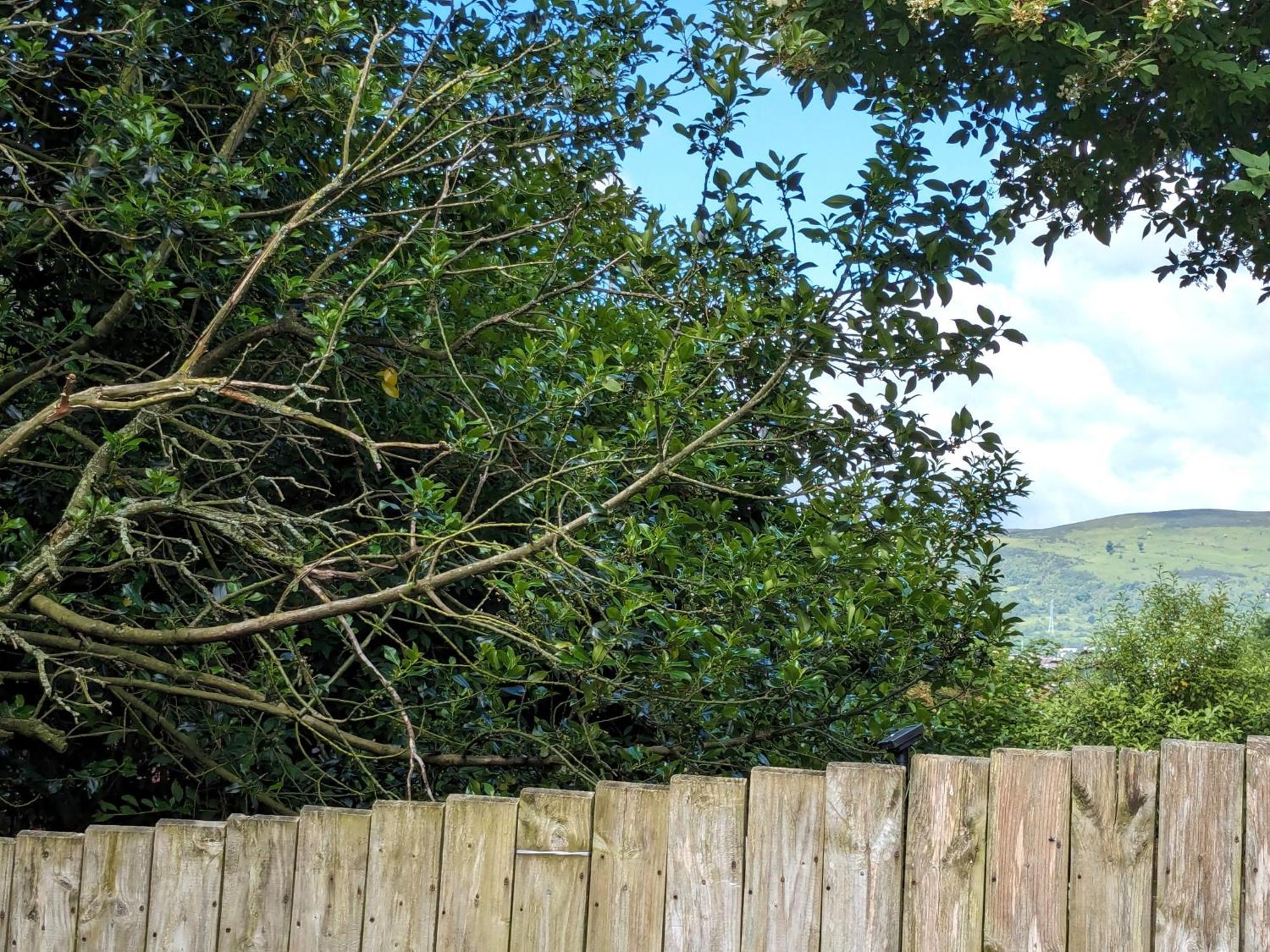 Heart Of Belfast With Private Garden Villa Eksteriør bilde